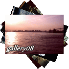 gallery08